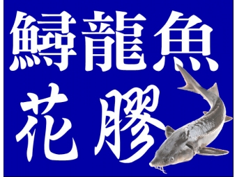 鱘龍魚花膠
